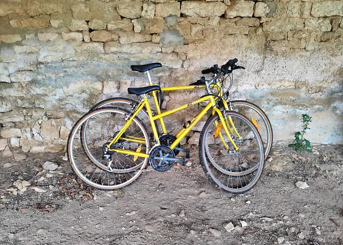 Le Logis De La Pierre * Perigne